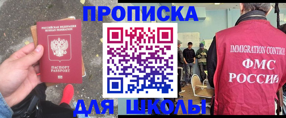 где прописаться в Звенигово